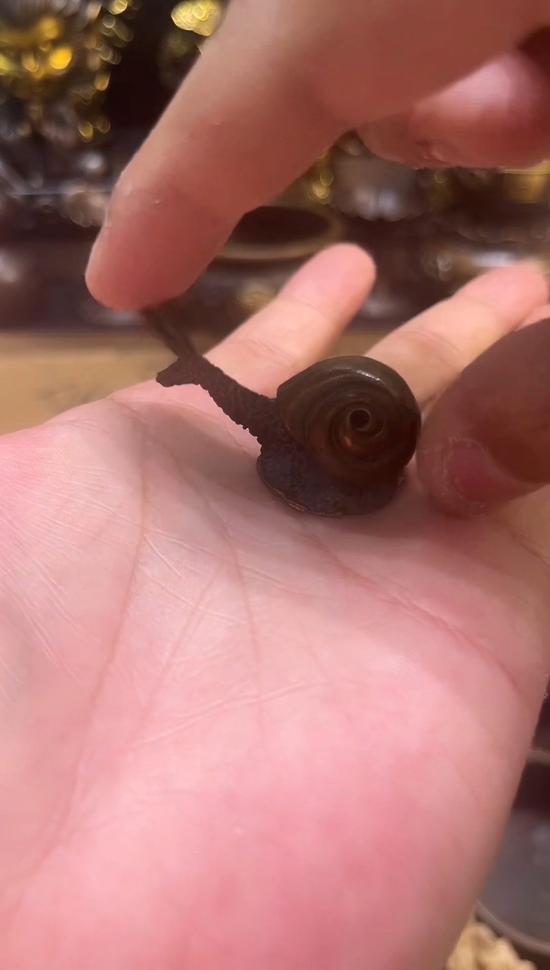 铜通用链接 精选铜器