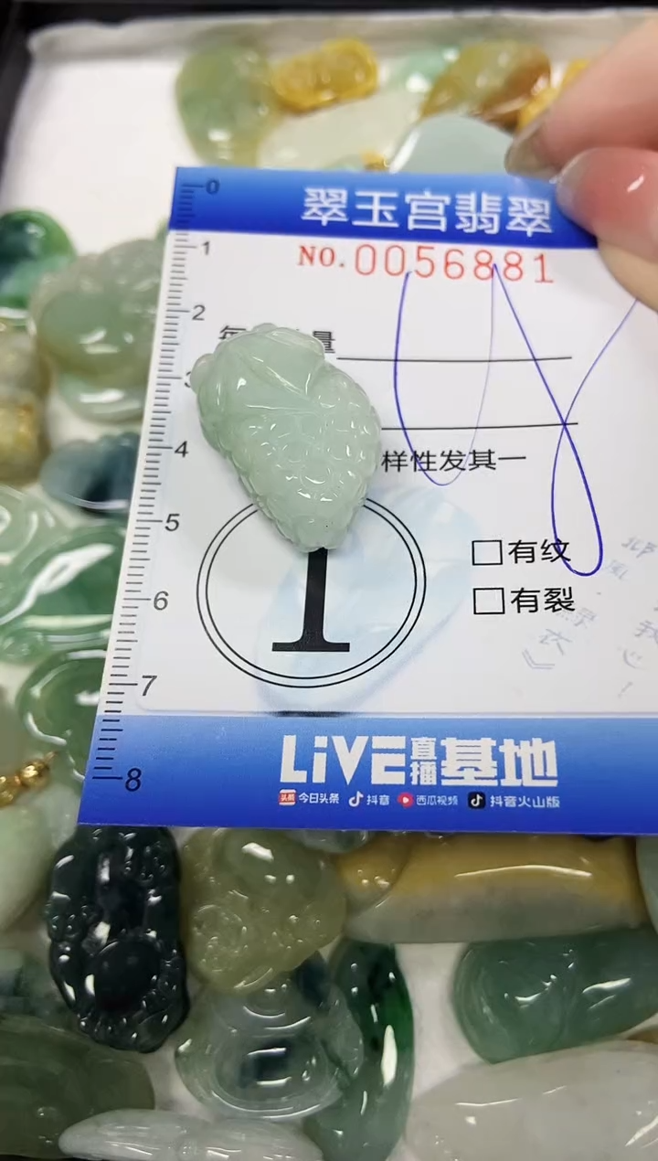 【闪购商品】翡翠颈饰未镶嵌闪购商品0056881