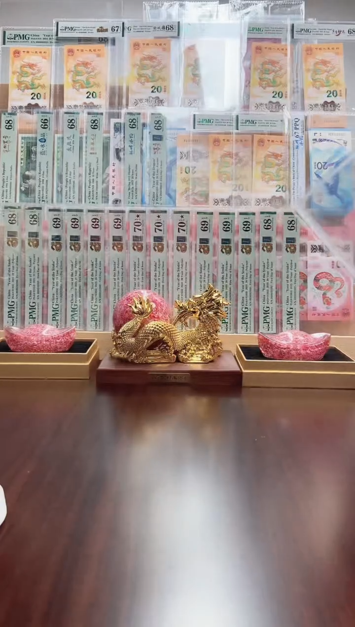 【闪购商品】塑料蛇钞靓号 （006288094）