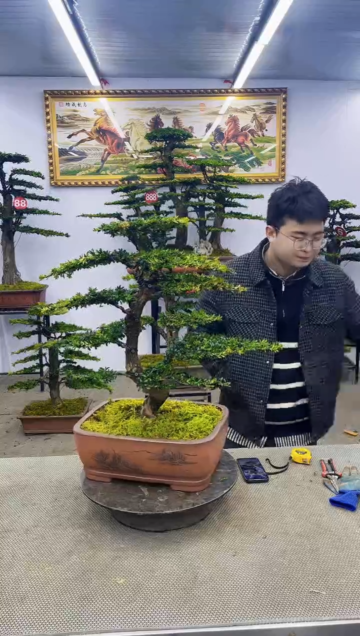 【闪购商品】000000000000