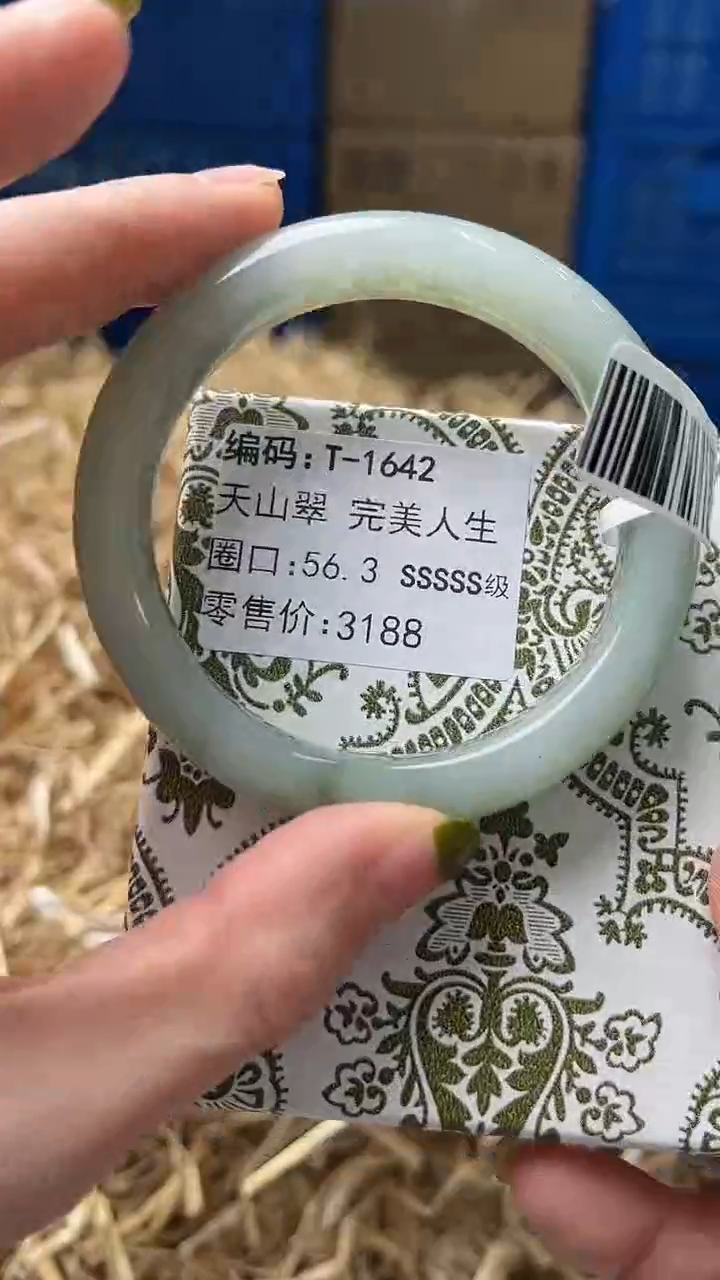 未镶嵌手镯石英质玉T1642