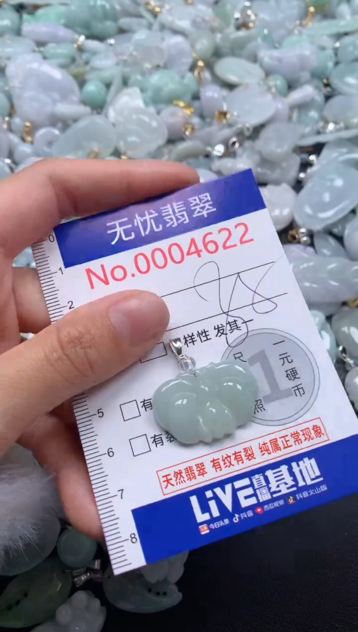颈饰未镶嵌翡翠4622