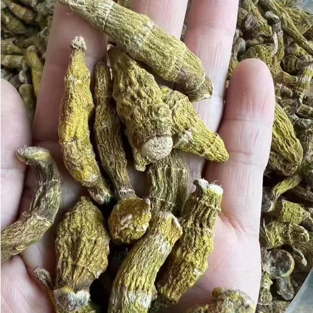 【虎牙石斛】下山货虎牙石斛泡水煲汤