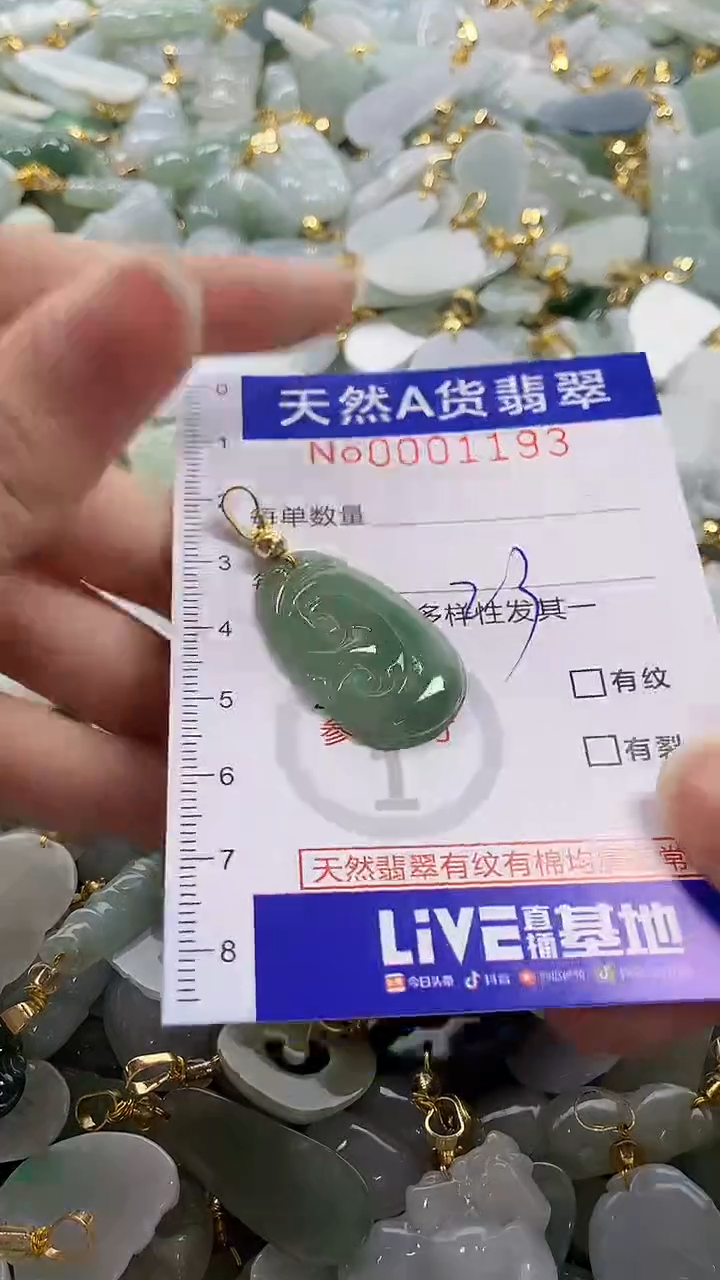 颈饰未镶嵌翡翠纯天然a货翡翠