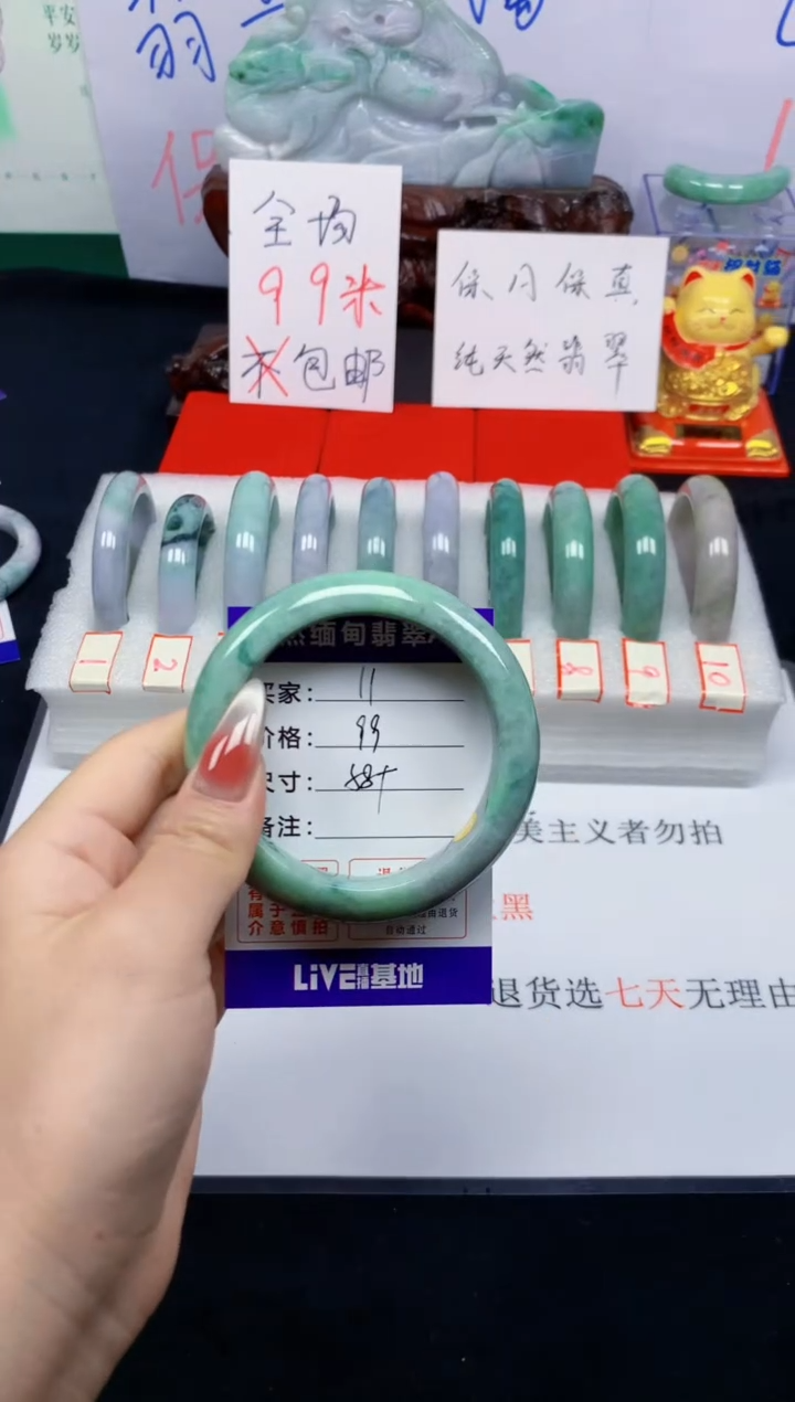 未镶嵌手镯翡翠11