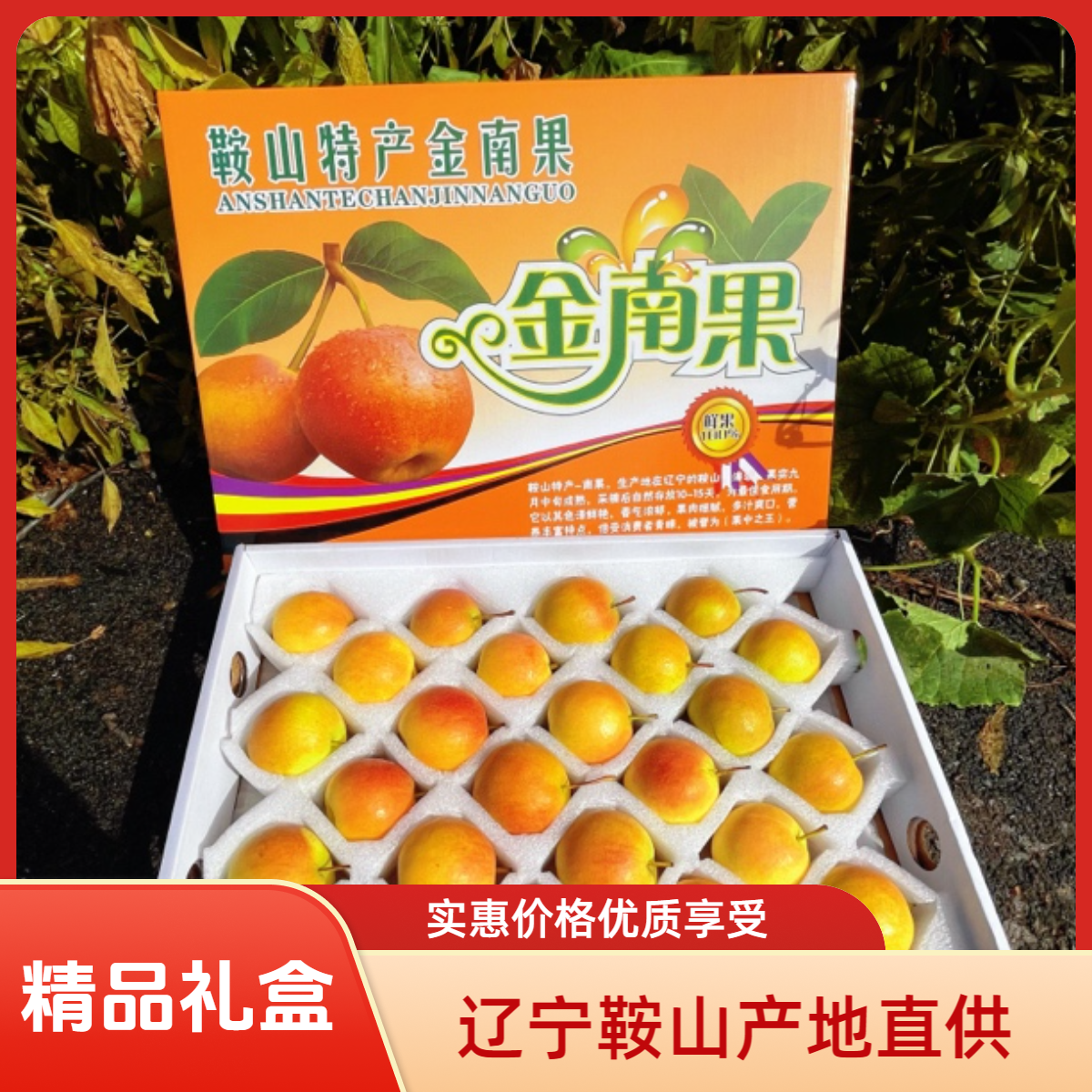 鞍山南国梨精品礼盒红南果新鲜采摘大果东北特产多汁酸甜口感薄皮