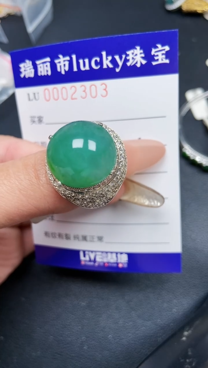 【闪购商品】翡翠颈饰未镶嵌铜托2303