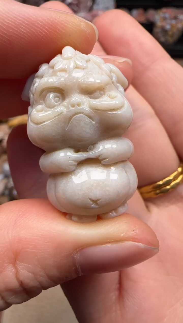 【闪购商品】硅化珊瑚（珊瑚玉）颈饰未镶嵌247