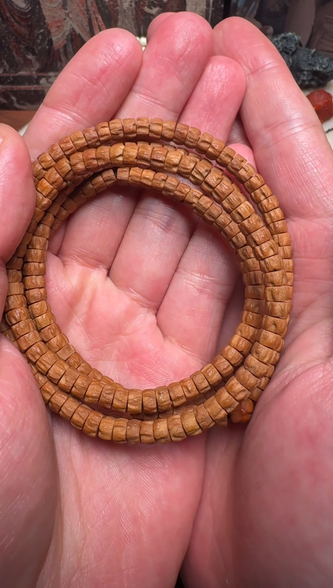 【闪购商品】柏香籽/百香籽手串百香籽手串