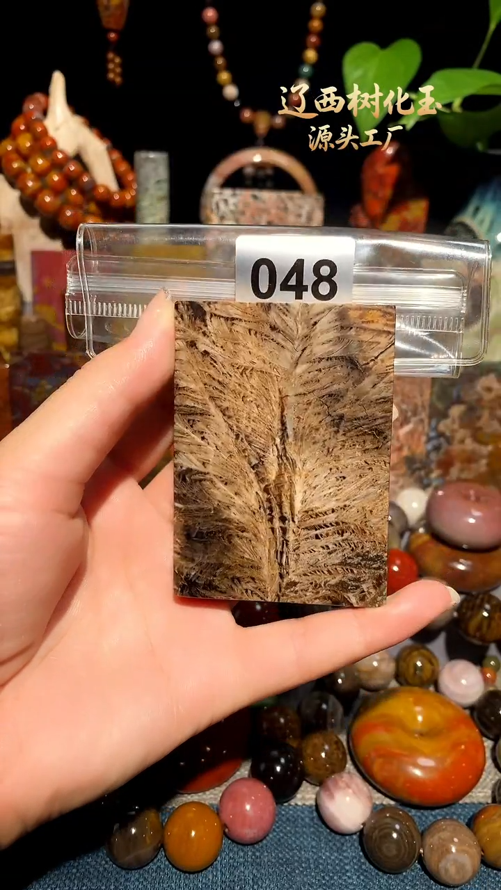 未镶嵌-硅化玉天然北票硅化玉吊坠