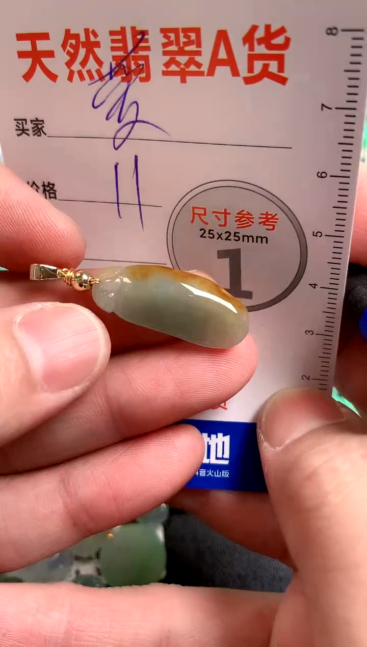 【闪购商品】翡翠颈饰未镶嵌14004128