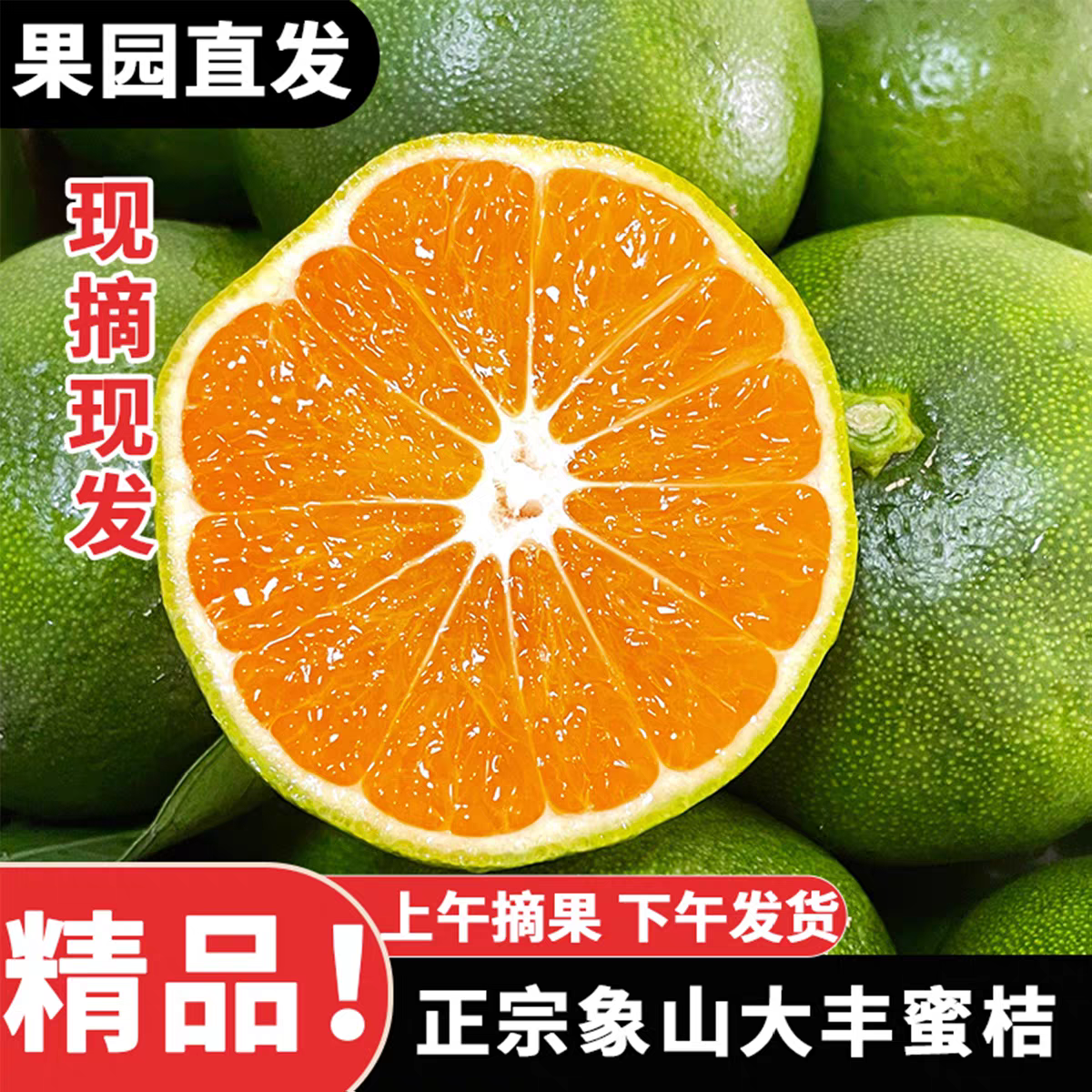 【云耕大堰】5斤象山乌屿山头茬福利青橘子9甜1酸无核孕妇水果寻乌蜜橘大丰蜜橘浙江省次日达浙江省