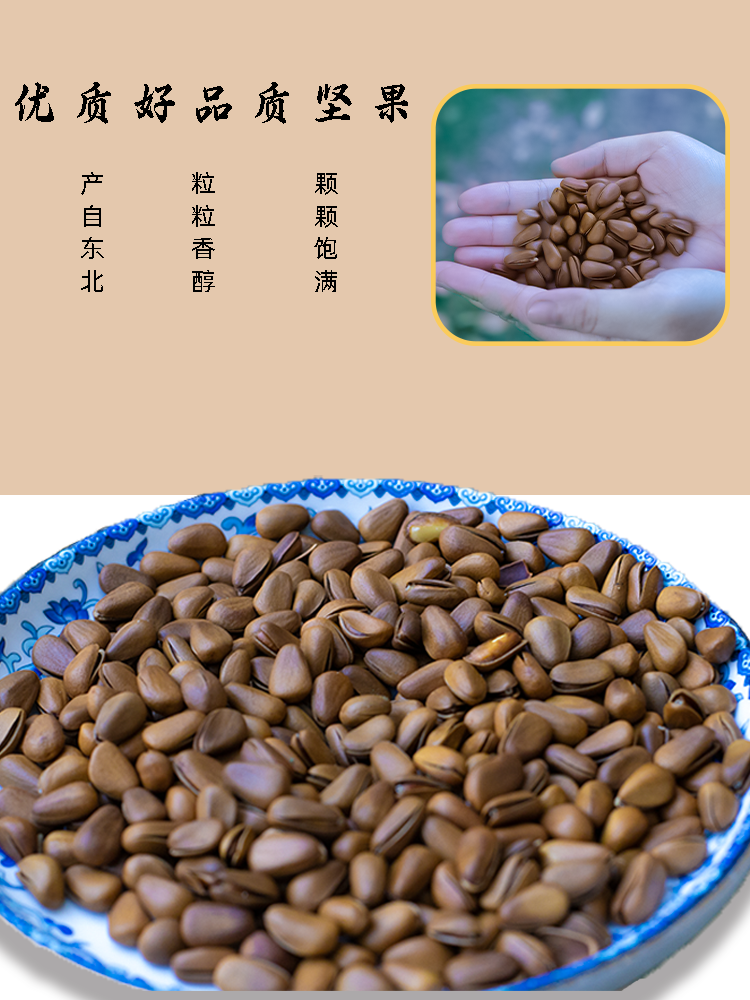 当季新货东北松子950颗粒