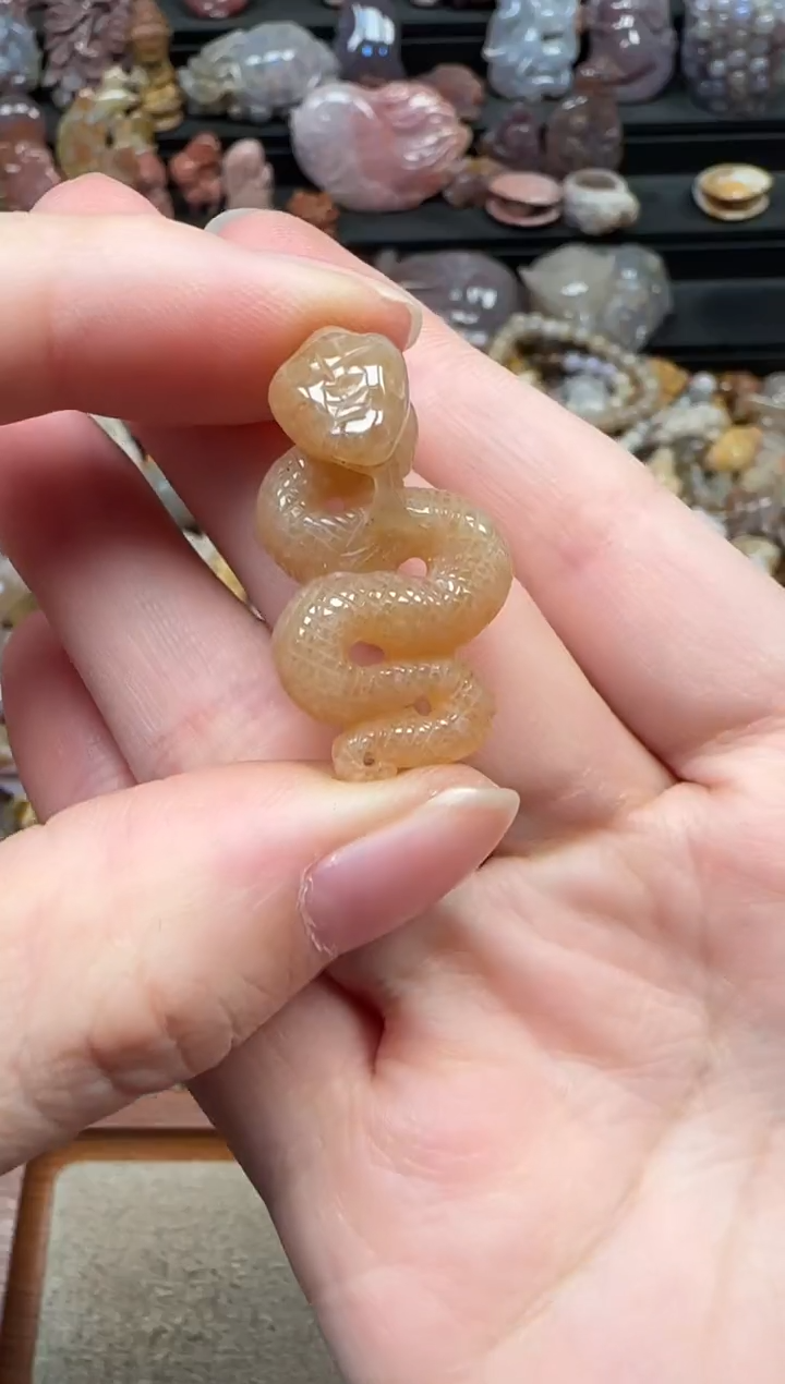 颈饰未镶嵌硅化珊瑚（珊瑚玉）092