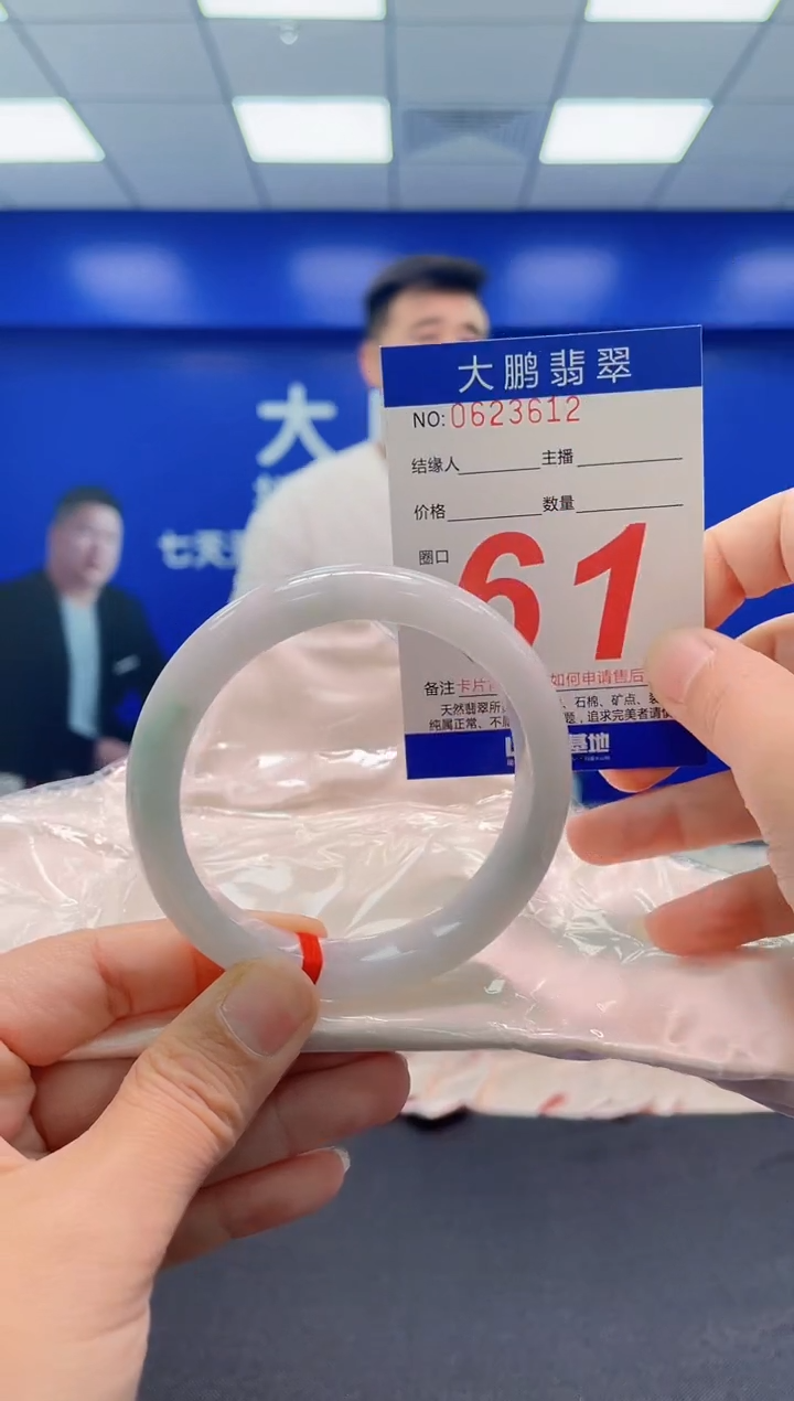 未镶嵌手镯翡翠AAAAAAAAA