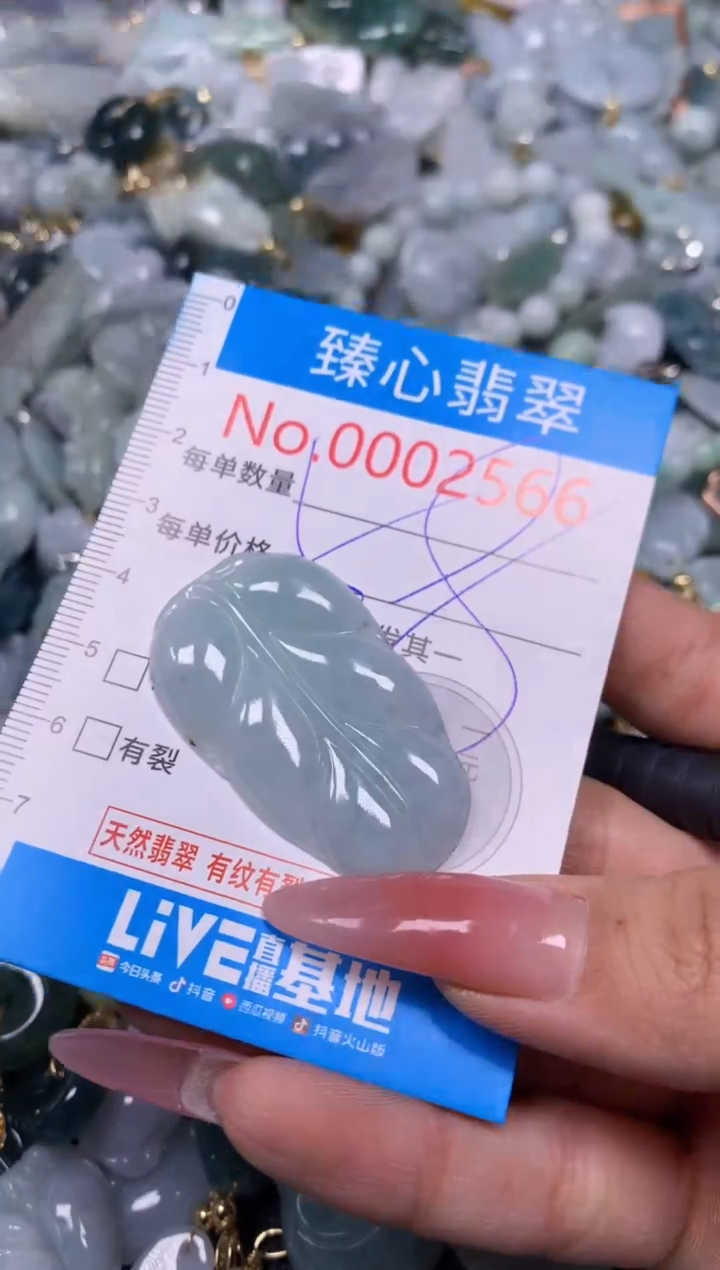 【闪购商品】翡翠颈饰未镶嵌含绳0002566