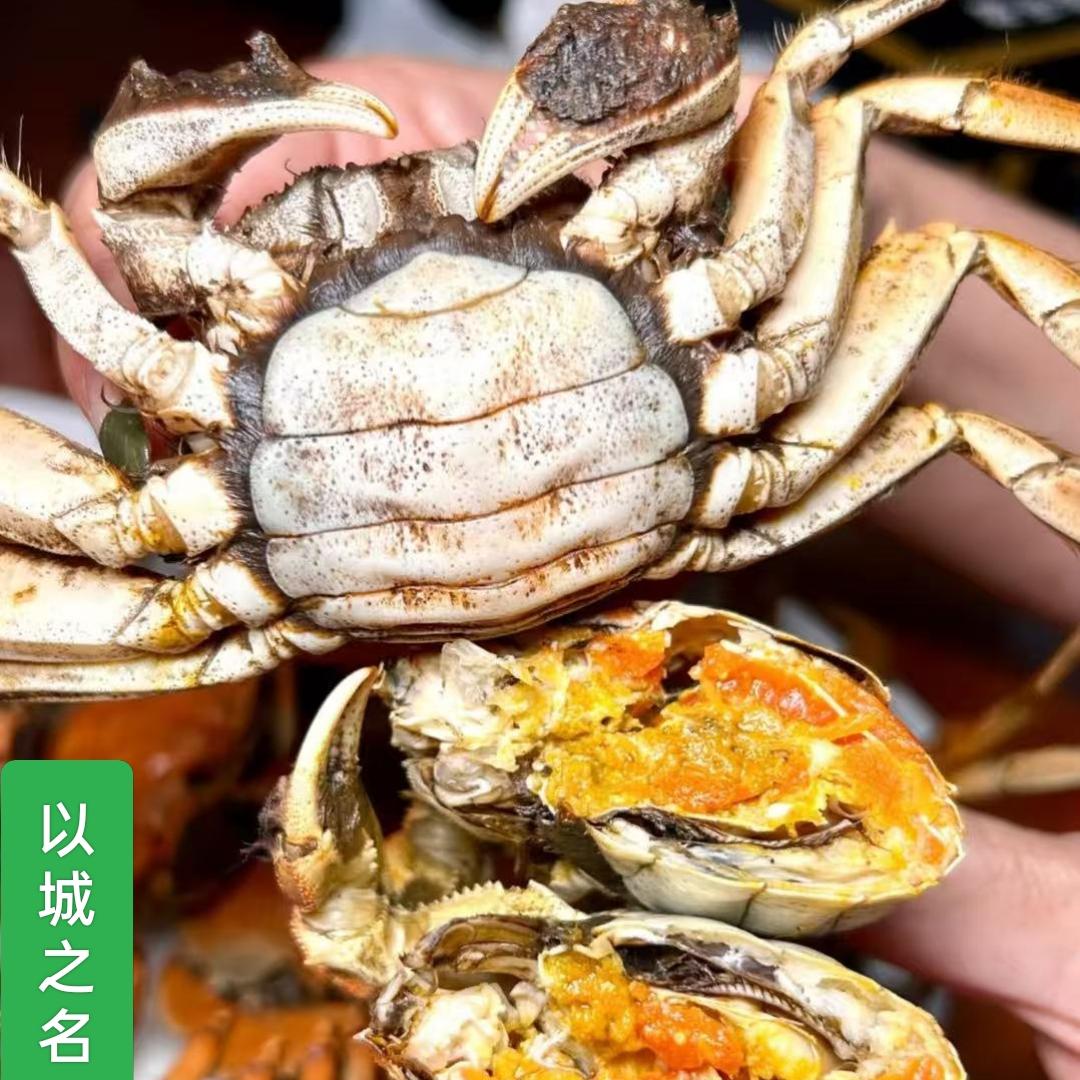【活蟹】正宗盘锦稻田蟹  全母蟹0.8-1.1两/只2斤-3斤 顺丰包邮