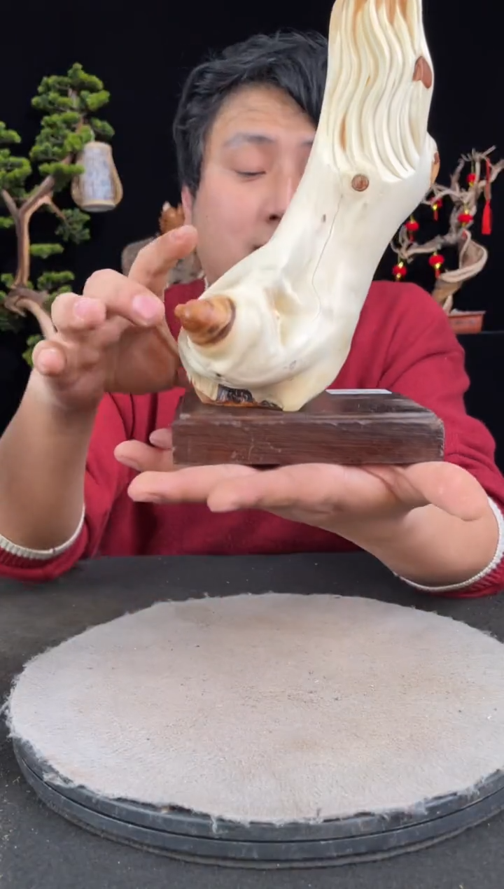 【闪购商品】柏木（崖柏）其他手工摆件,先抢先得!