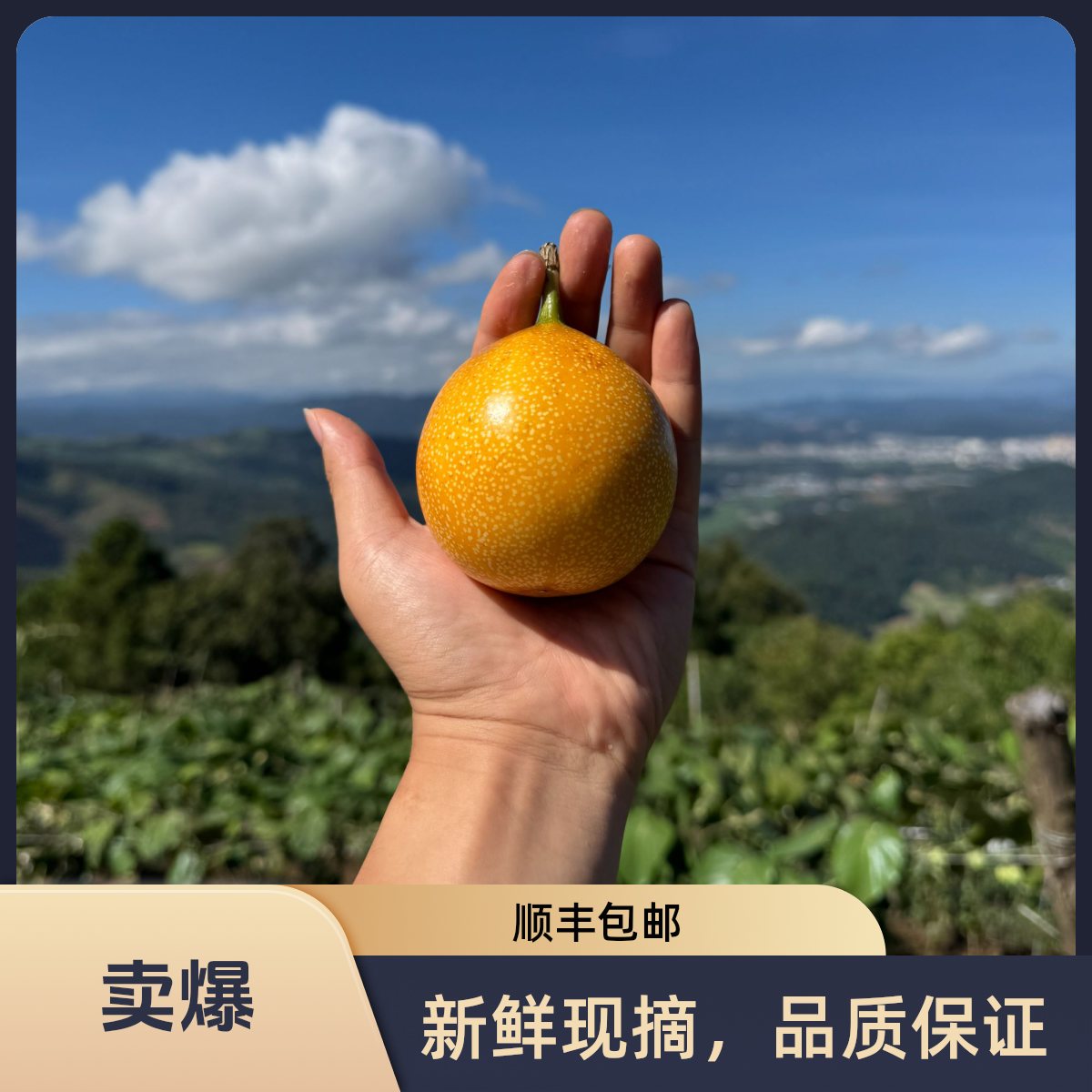 云南西双版纳热情果爱情果新鲜采摘多汁热带水果