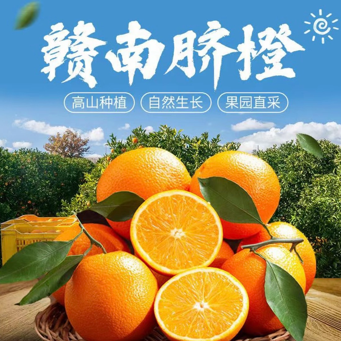 【Z】正宗赣南脐橙橙子新鲜水果现采现发包邮5斤装鲜甜多汁江西省