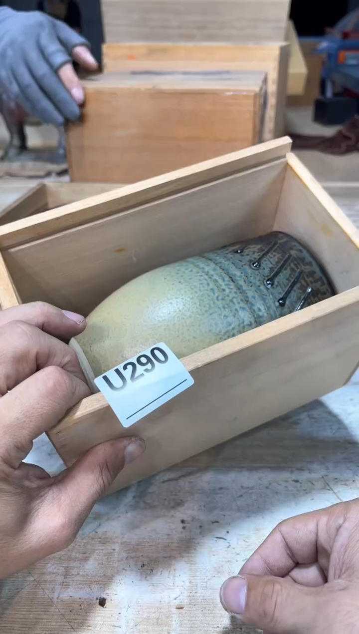 游*直播定闪专用链接123