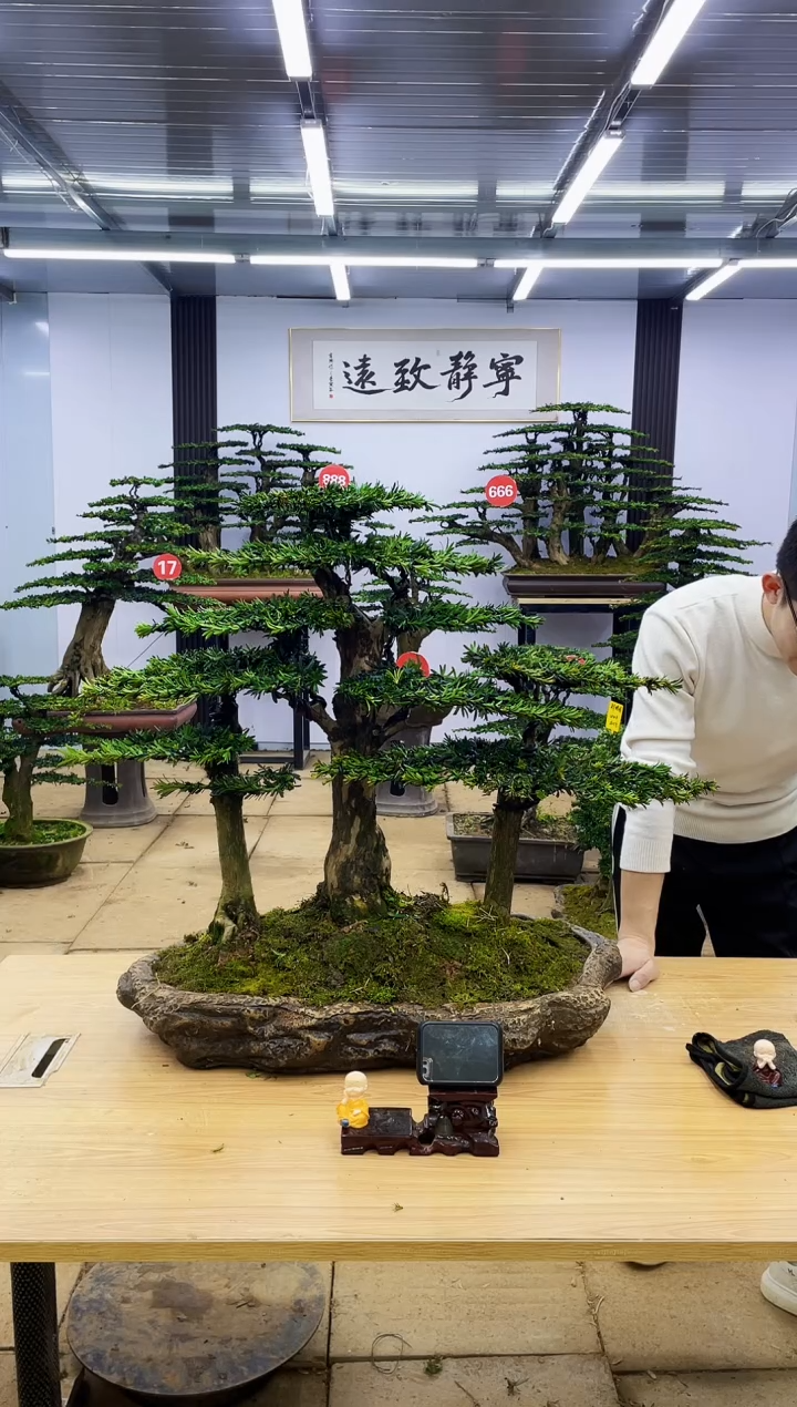 【闪购商品】00000000