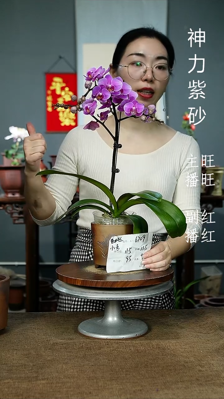 紫砂花盆6709 紫砂花盆紫砂