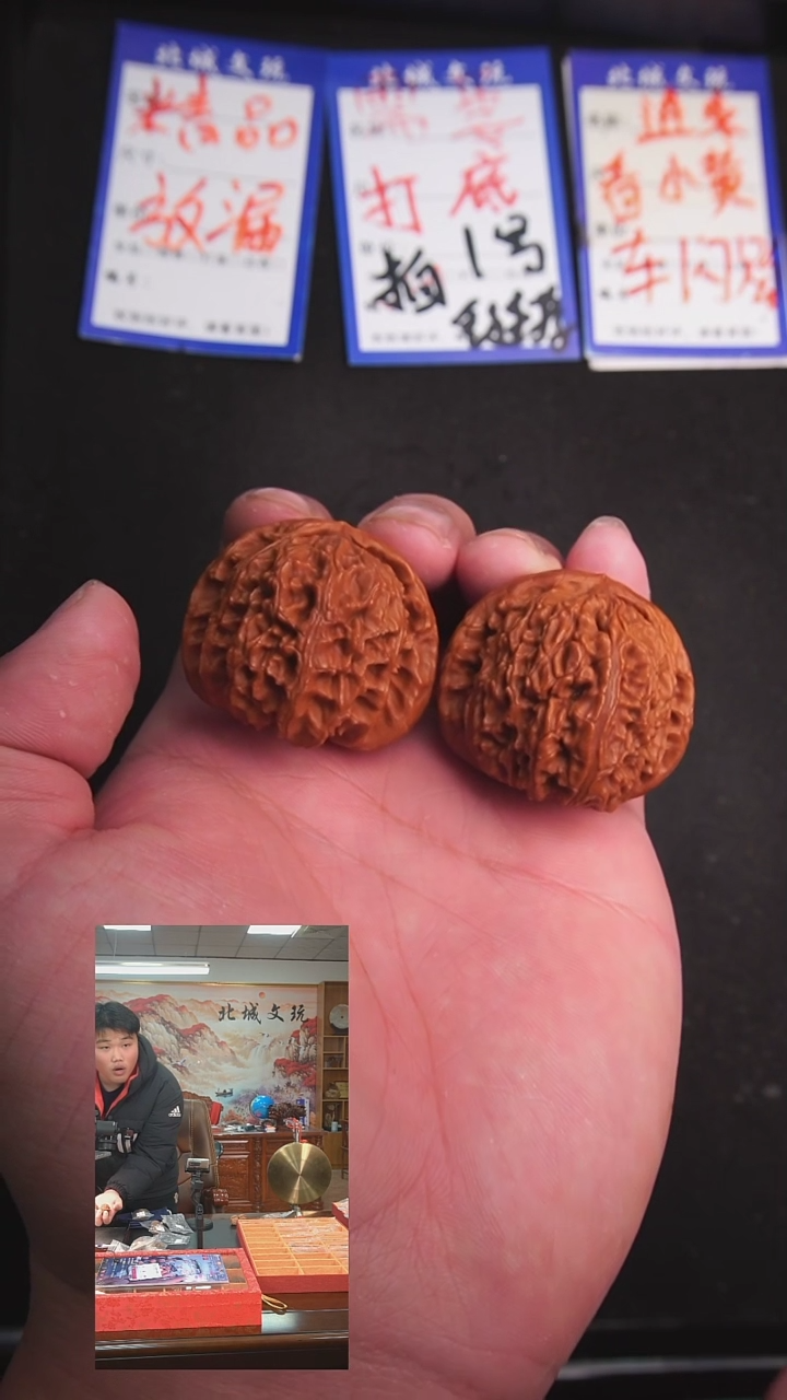 【闪购商品】文玩核桃把件4号40白狮子  已打底