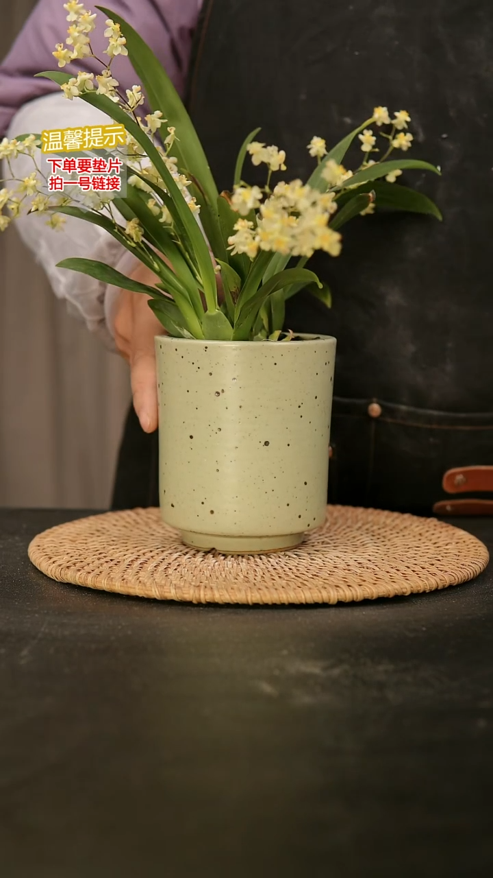 瓷片内口径约8  外高约11