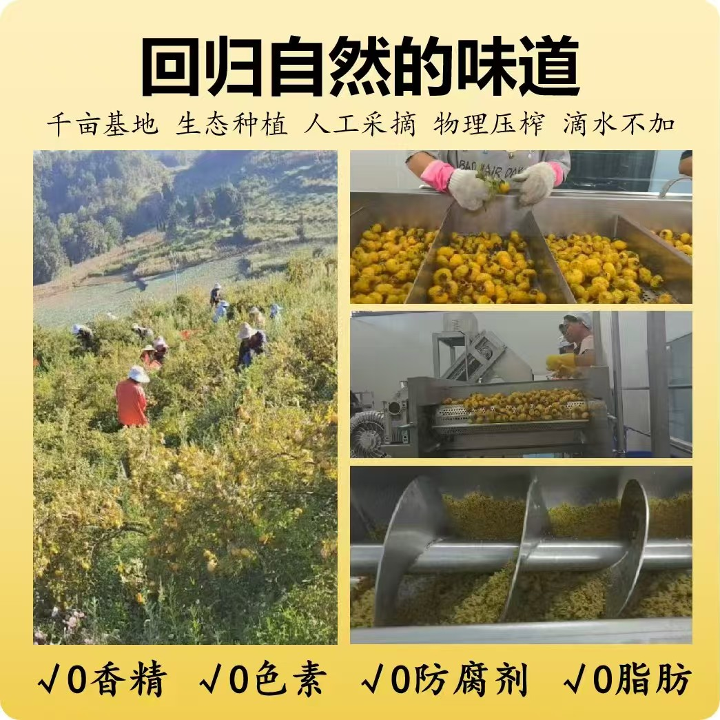贵州刺梨原汁富含SOD天然 VC原味甜味实惠家庭享装厂家直发到家