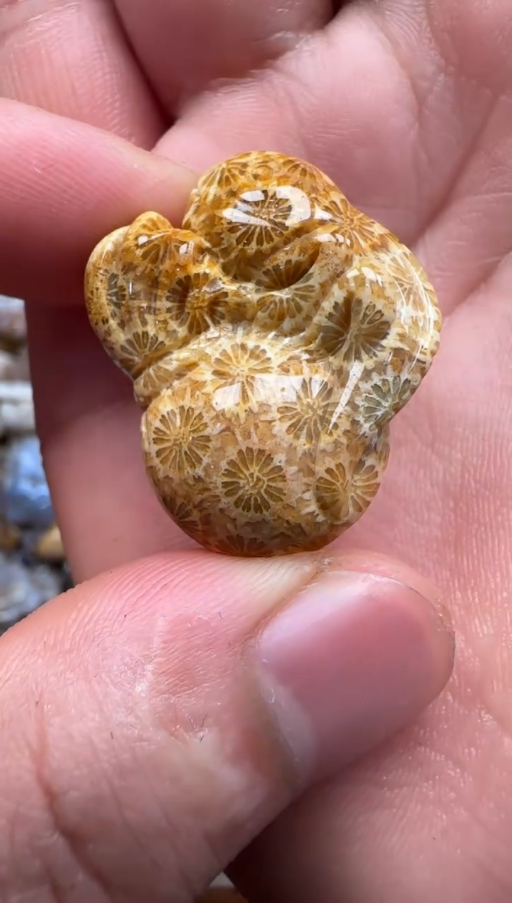 【闪购商品】硅化珊瑚（珊瑚玉）颈饰未镶嵌172