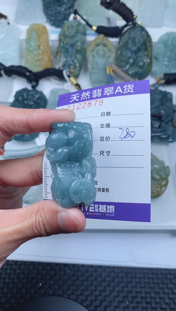 【闪购商品】翡翠颈饰未镶嵌        879