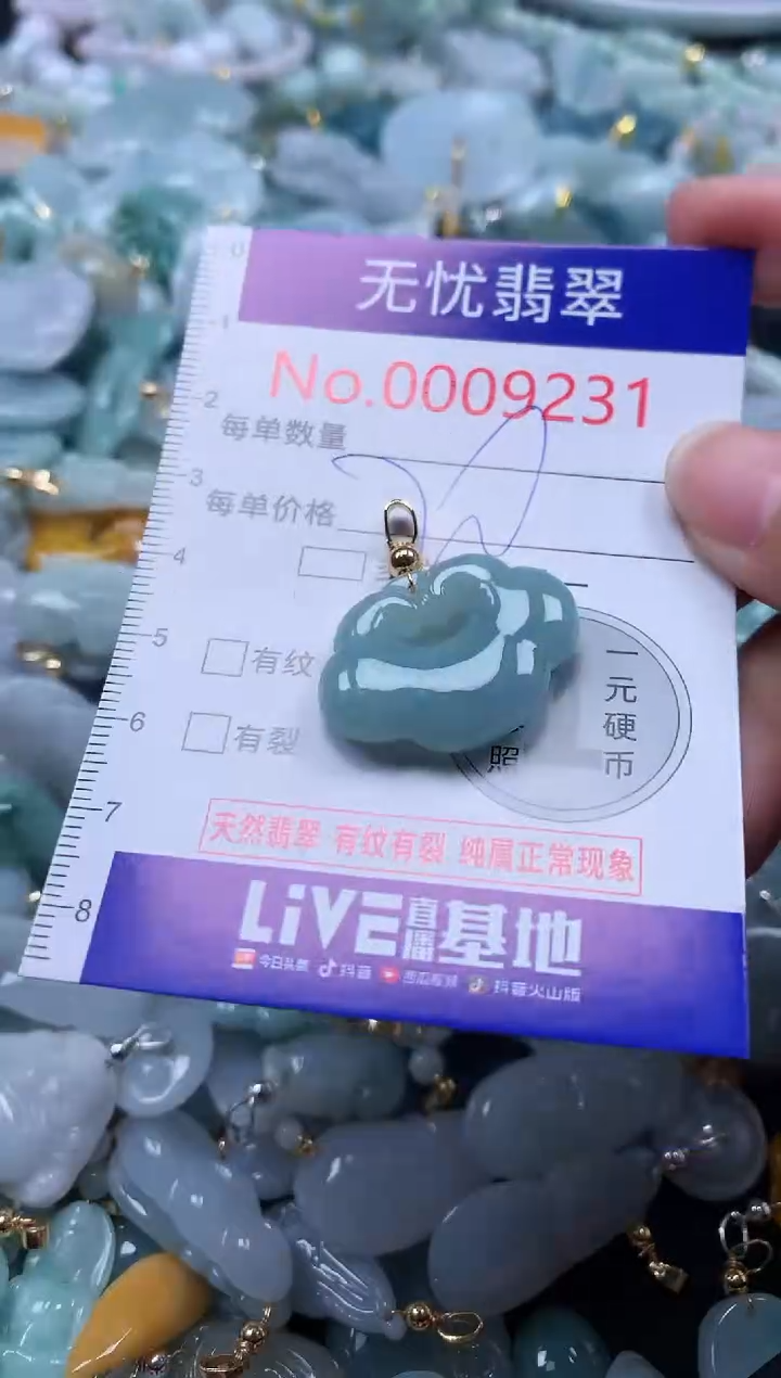 翡翠未镶嵌吊坠(不含链)9231