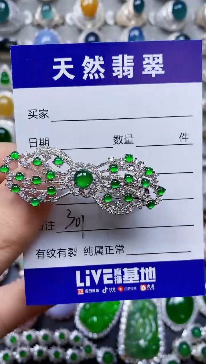 【闪购商品】翡翠颈饰银S925镶嵌0301