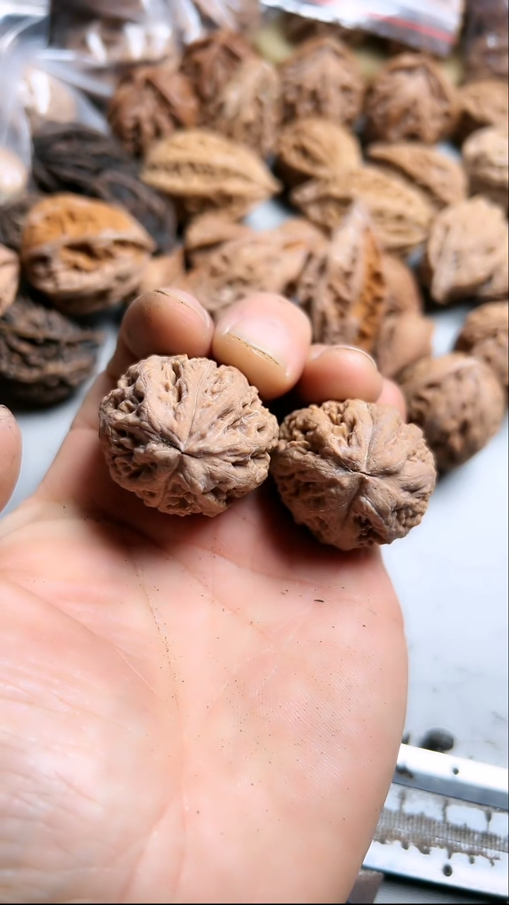 核桃东北野生大秋子6