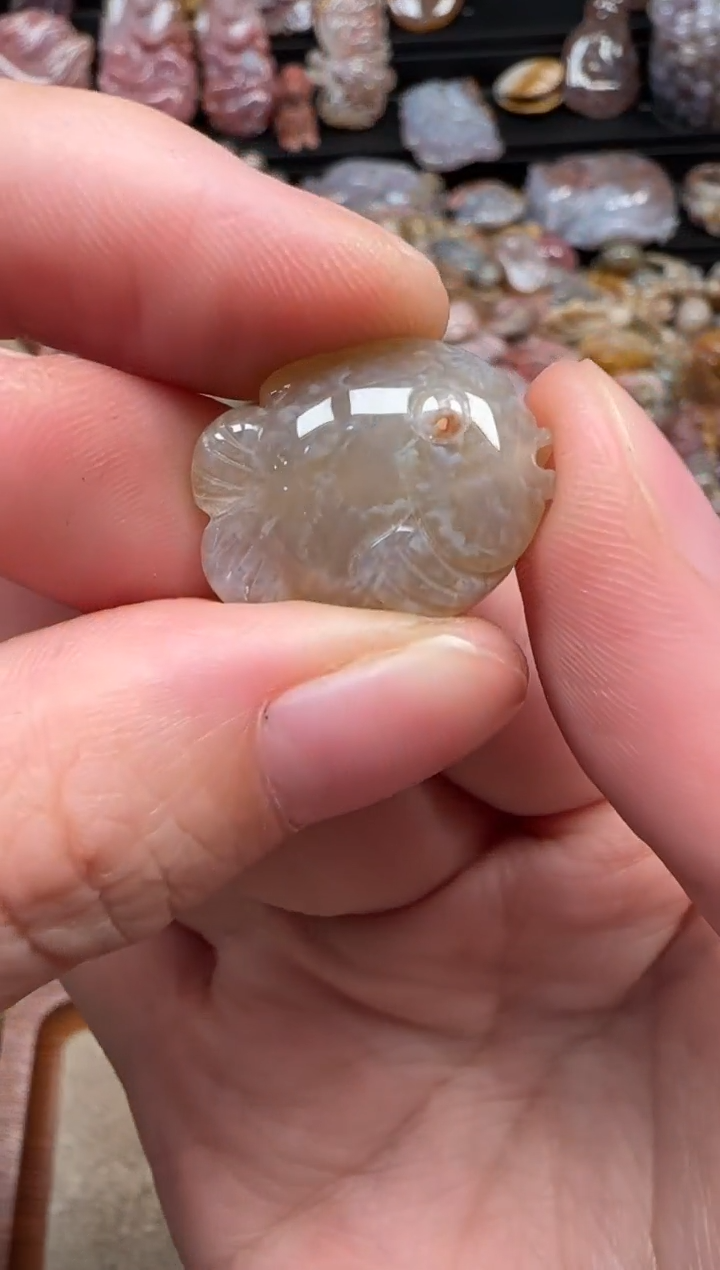 颈饰未镶嵌硅化珊瑚（珊瑚玉）808