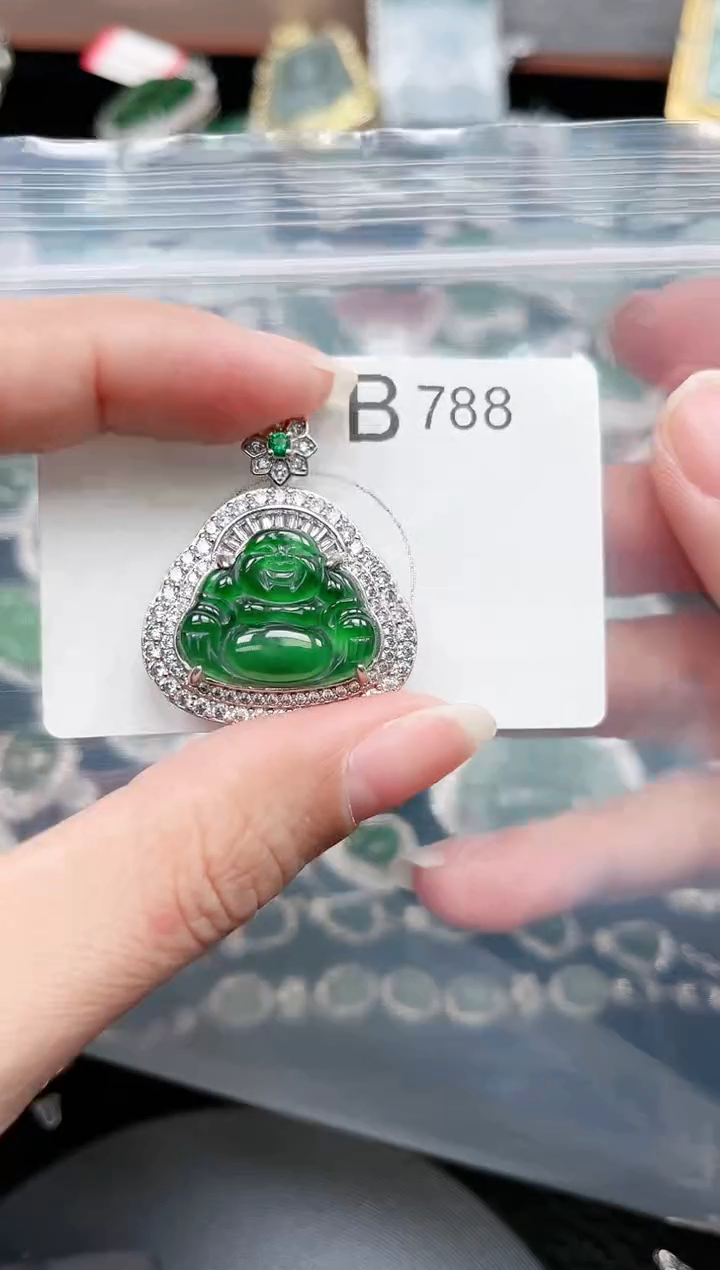 【闪购商品】翡翠颈饰未镶嵌788赠皮绳