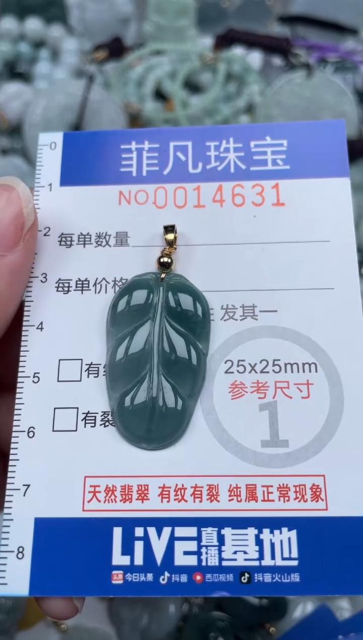 颈饰未镶嵌翡翠14631