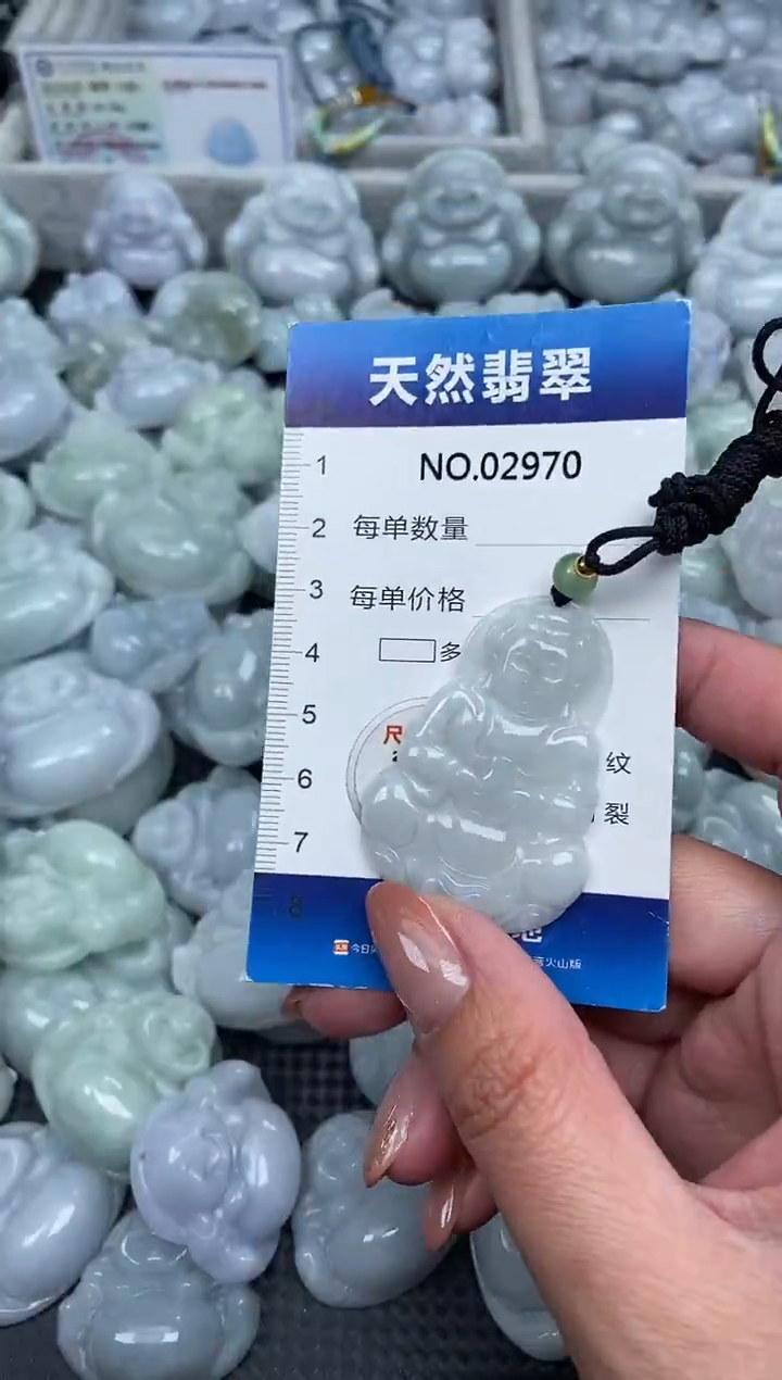 颈饰未镶嵌翡翠纯天然A货翡翠2970