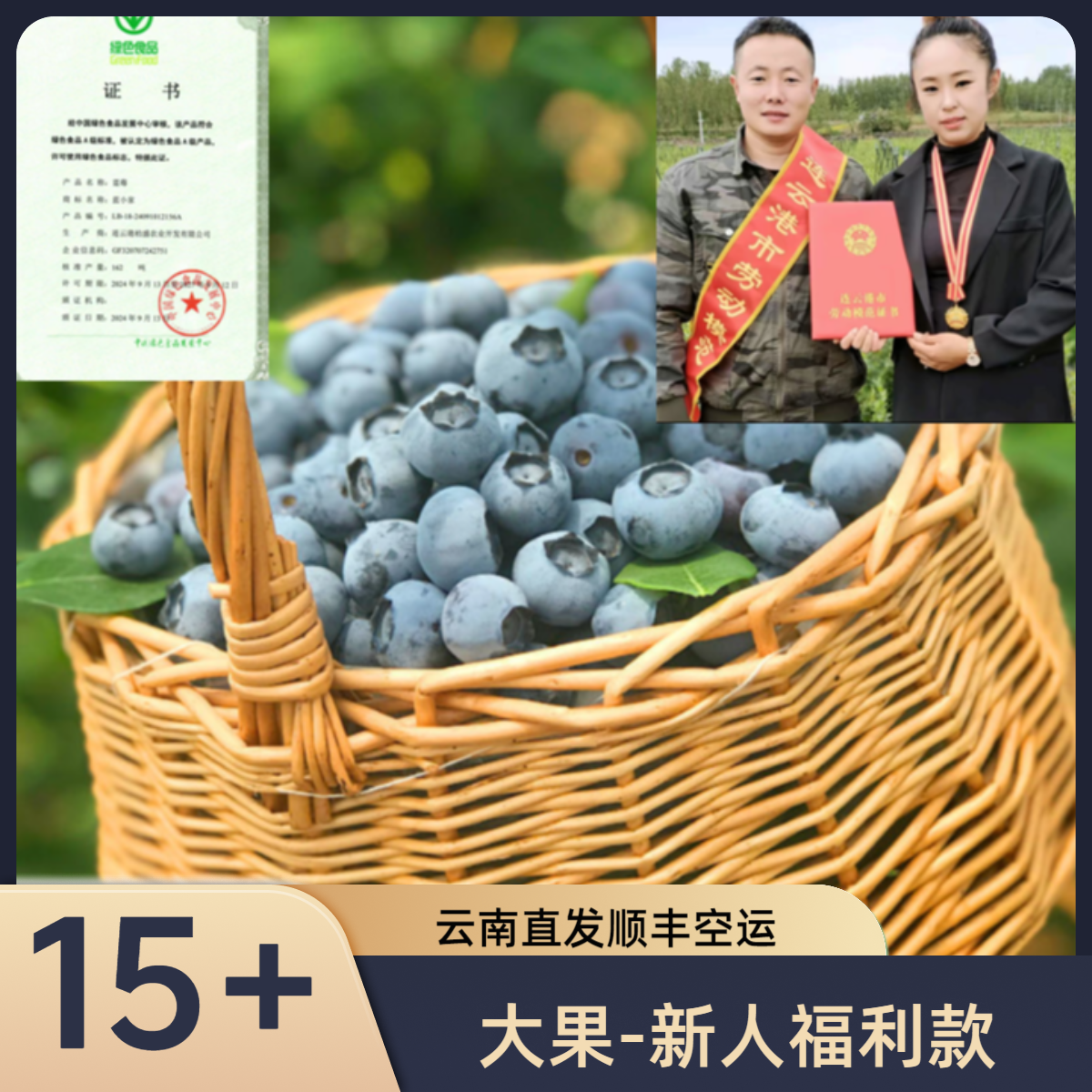 蓝小家大果［15-18mm］云南高山新鲜蓝莓现摘现发（孕妈宝宝专享）