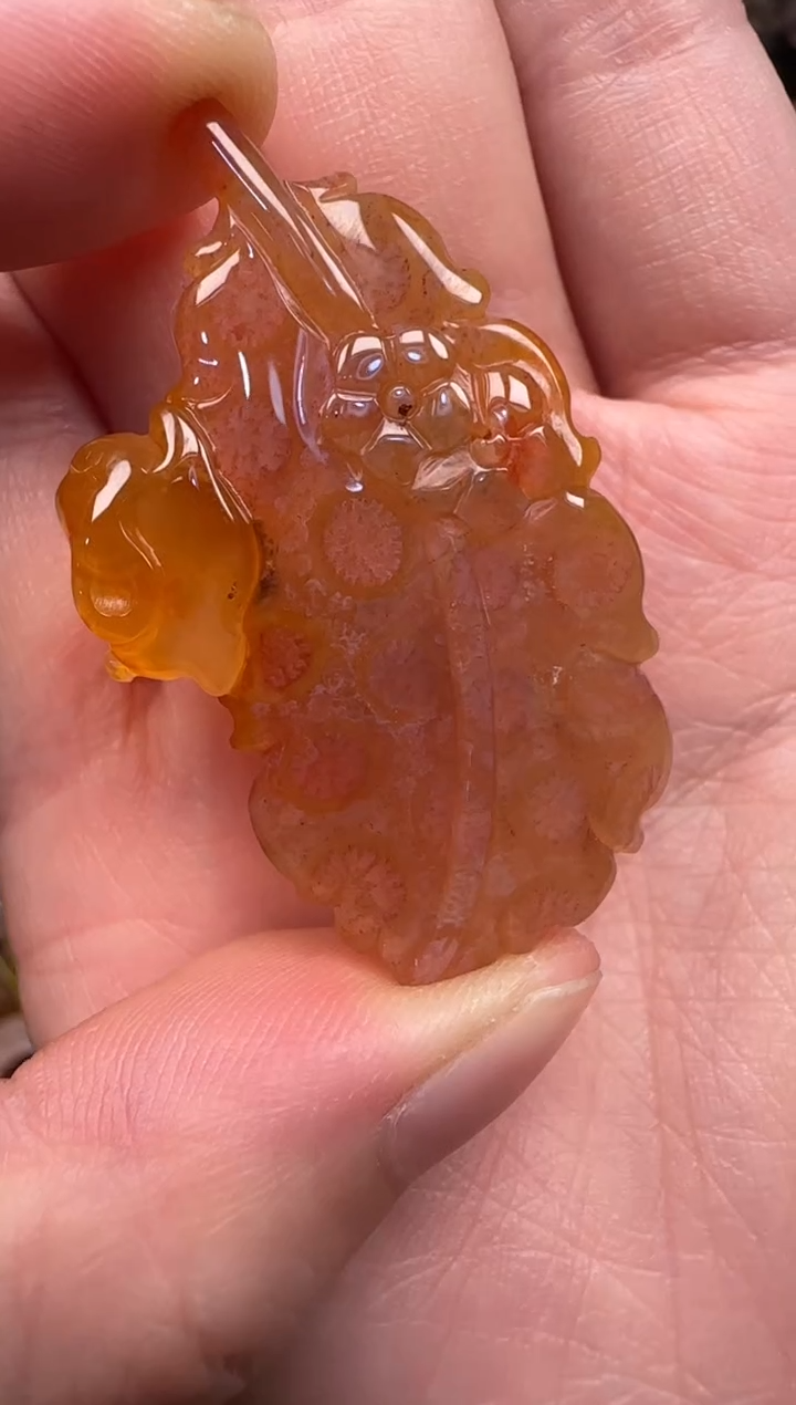 硅化珊瑚（珊瑚玉）未镶嵌颈饰129