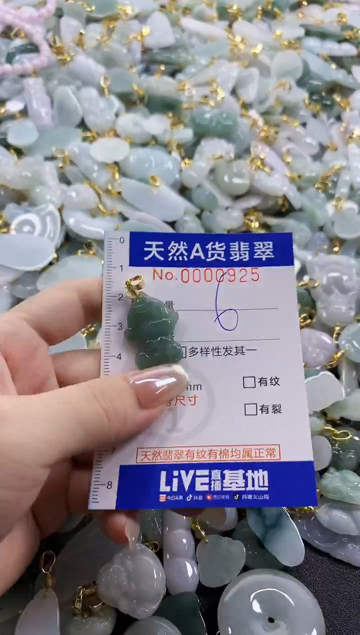 颈饰未镶嵌翡翠天然A货翡翠