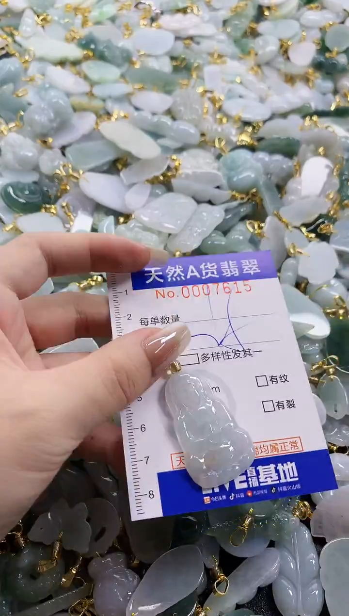 颈饰未镶嵌翡翠天然A货翡翠