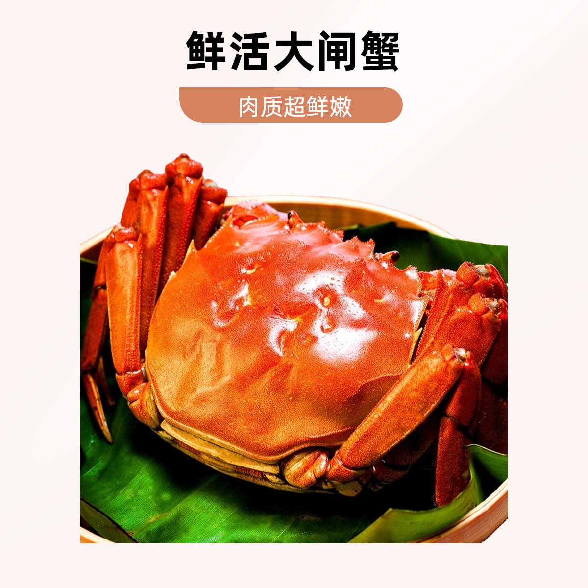 【活蟹】江苏大闸蟹 公蟹4.0-3.7两 母蟹3.0-2.7两 8只送2只 京东顺丰冷链