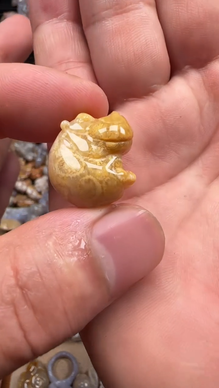 【闪购商品】硅化珊瑚（珊瑚玉）颈饰未镶嵌005