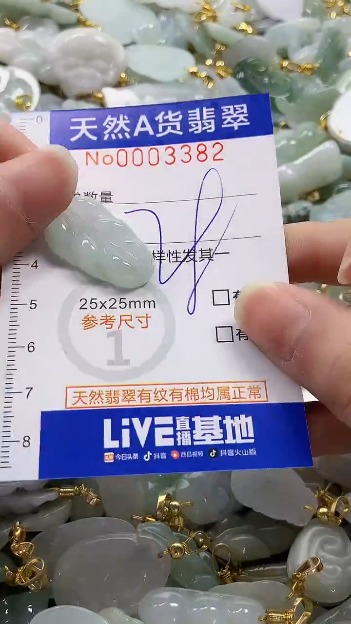 颈饰未镶嵌翡翠纯天然a货翡翠