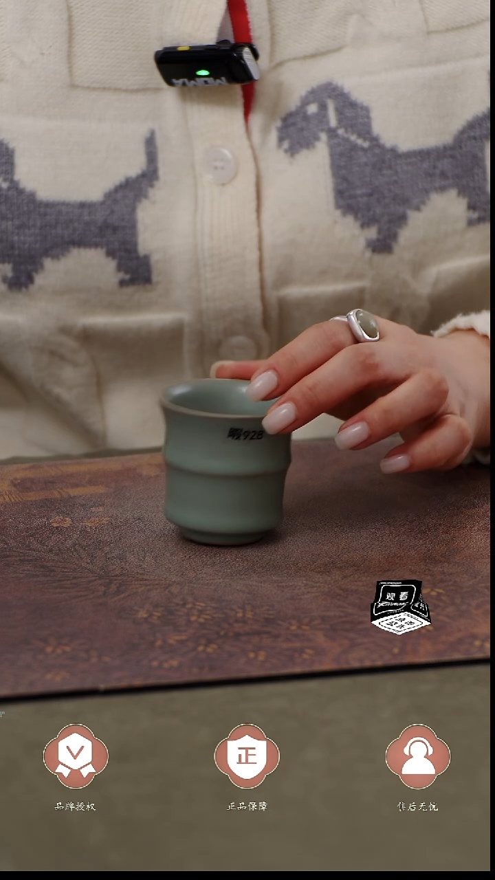 瓷片瑕928 简装 王君子章款