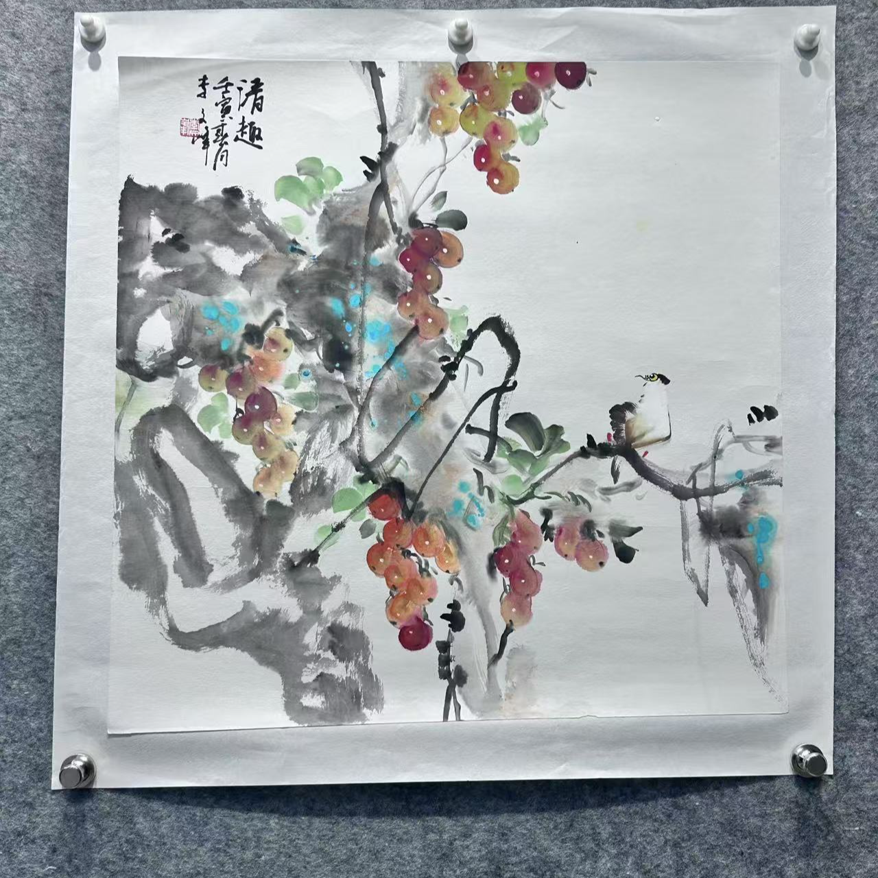 三尺斗方50*50写意葡萄