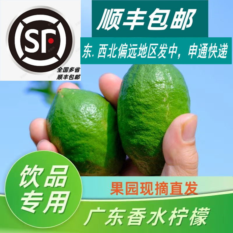 广东香水柠檬无籽新鲜果园直发奶茶店用