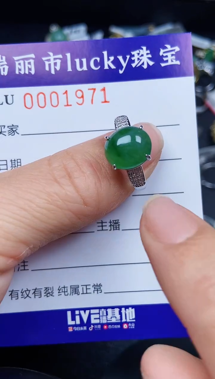 翡翠银S925镶嵌颈饰1971